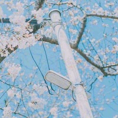 美杜莎外传手游下载