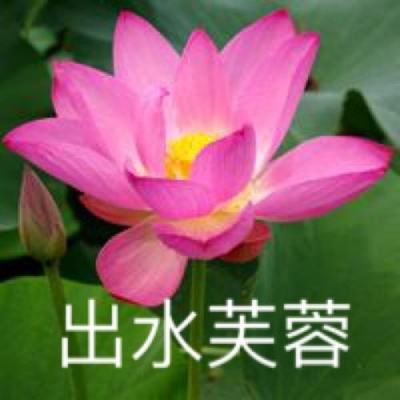 散人修仙百度版下载