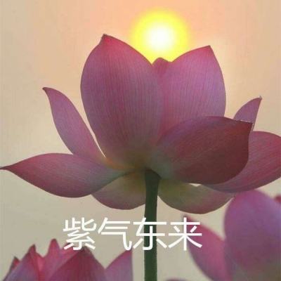 异能都市猎艳记官方版下载